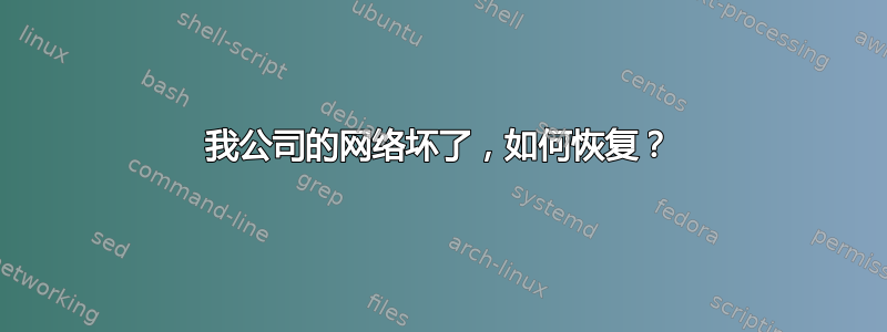 我公司的网络坏了，如何恢复？