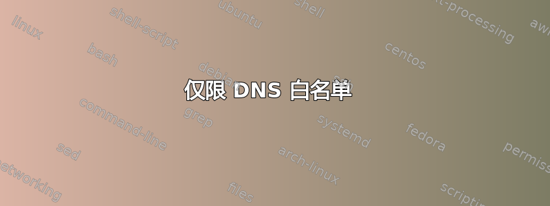 仅限 DNS 白名单 