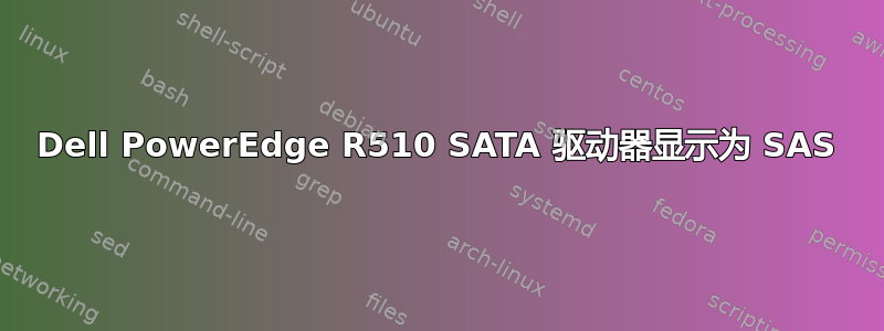 Dell PowerEdge R510 SATA 驱动器显示为 SAS