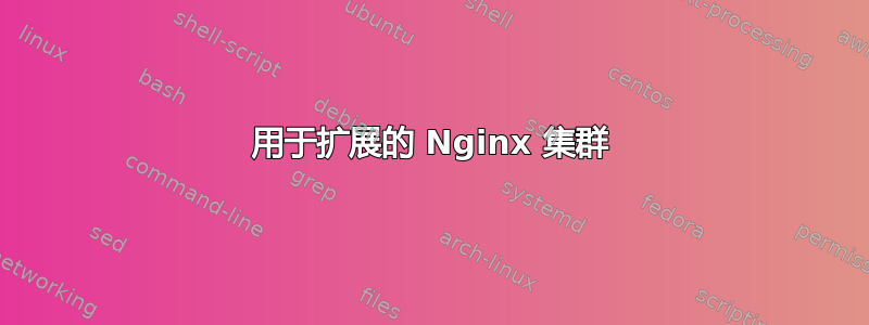 用于扩展的 Nginx 集群