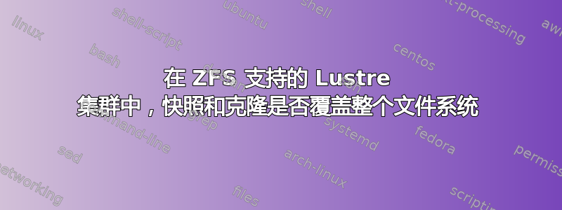 在 ZFS 支持的 Lustre 集群中，快照和克隆是否覆盖整个文件系统