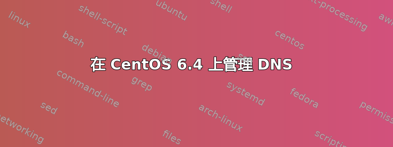 在 CentOS 6.4 上管理 DNS 