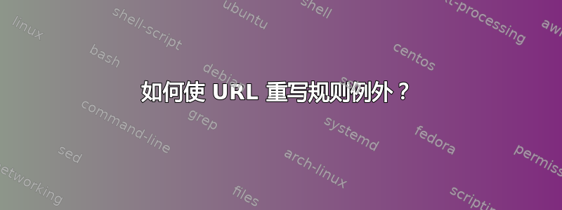 如何使 URL 重写规则例外？