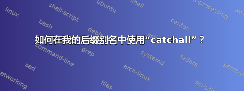 如何在我的后缀别名中使用“catchall”？