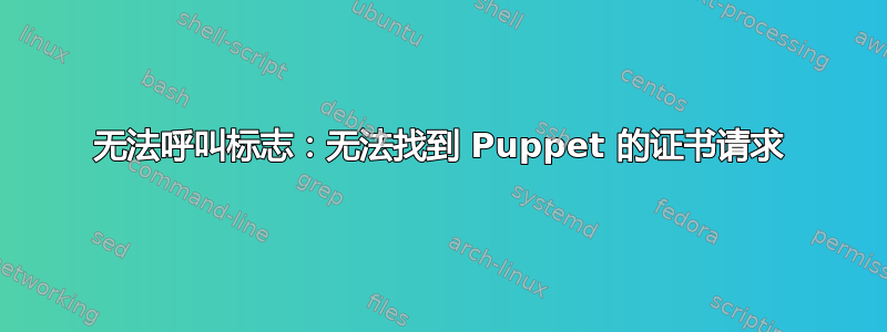 无法呼叫标志：无法找到 Puppet 的证书请求