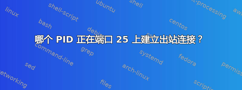 哪个 PID 正在端口 25 上建立出站连接？