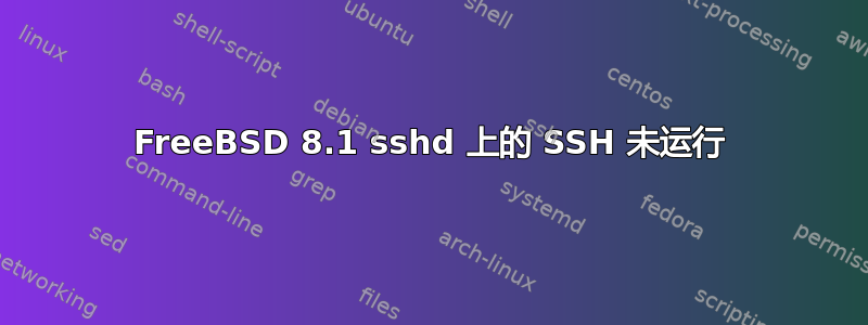 FreeBSD 8.1 sshd 上的 SSH 未运行