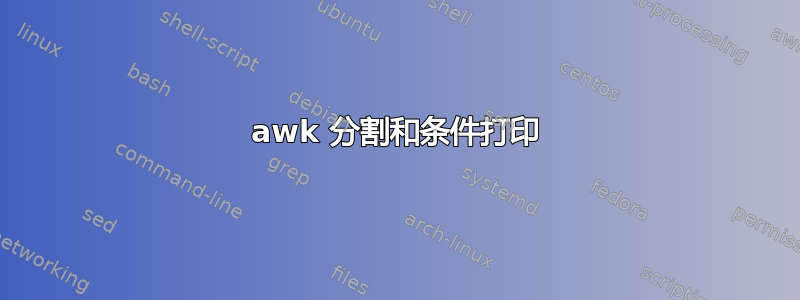 awk 分割和条件打印