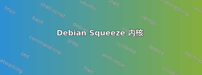 Debian Squeeze 内核