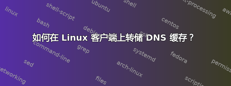 如何在 Linux 客户端上转储 DNS 缓存？