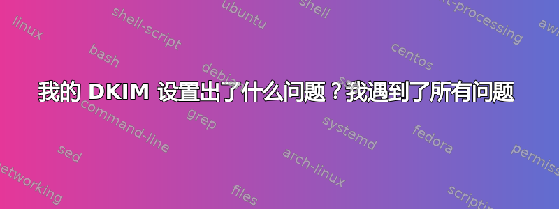 我的 DKIM 设置出了什么问题？我遇到了所有问题