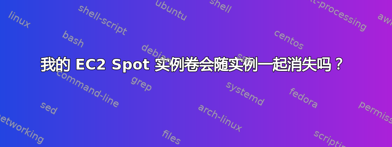 我的 EC2 Spot 实例卷会随实例一起消失吗？