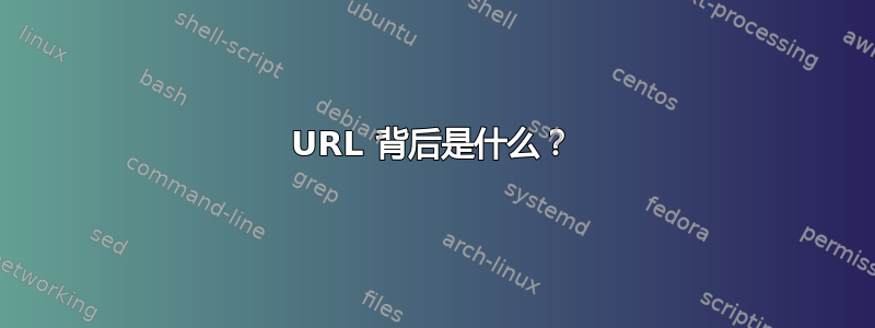 URL 背后是什么？