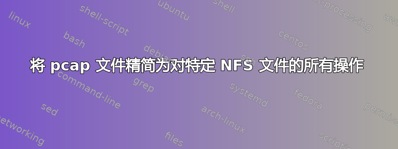 将 pcap 文件精简为对特定 NFS 文件的所有操作