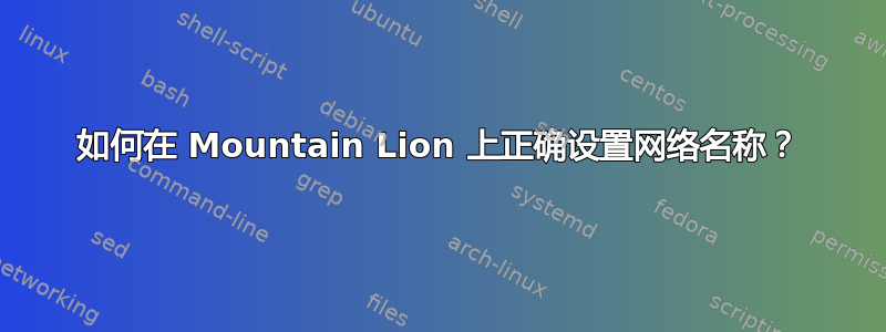 如何在 Mountain Lion 上正确设置网络名称？