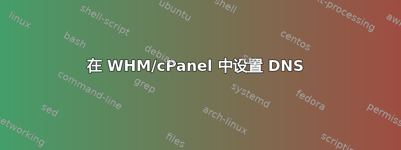 在 WHM/cPanel 中设置 DNS 