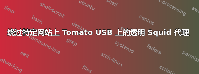 绕过特定网站上 Tomato USB 上的透明 Squid 代理