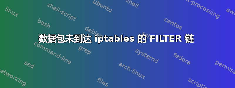 数据包未到达 iptables 的 FILTER 链