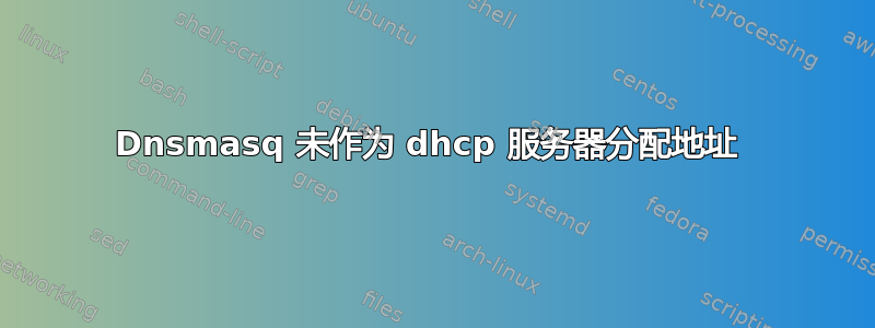 Dnsmasq 未作为 dhcp 服务器分配地址 