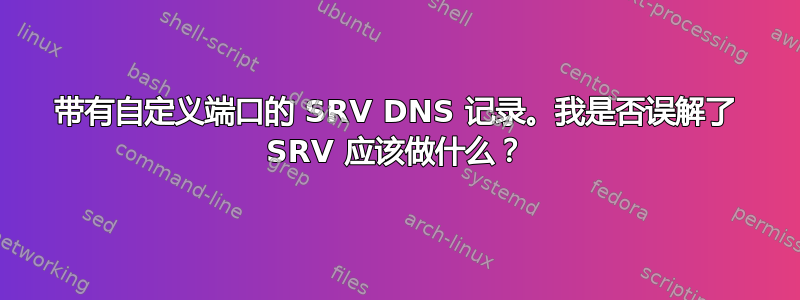 带有自定义端口的 SRV DNS 记录。我是否误解了 SRV 应该做什么？