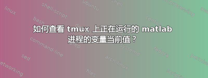 如何查看 tmux 上正在运行的 matlab 进程的变量当前值？