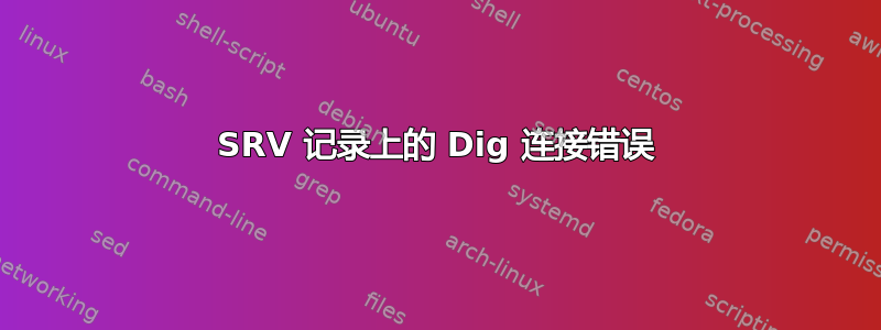 SRV 记录上的 Dig 连接错误