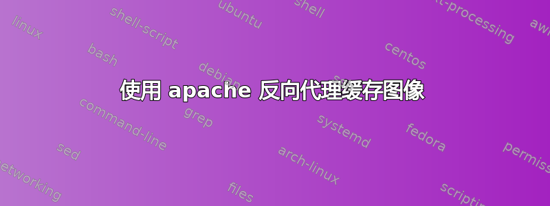 使用 apache 反向代理缓存图像