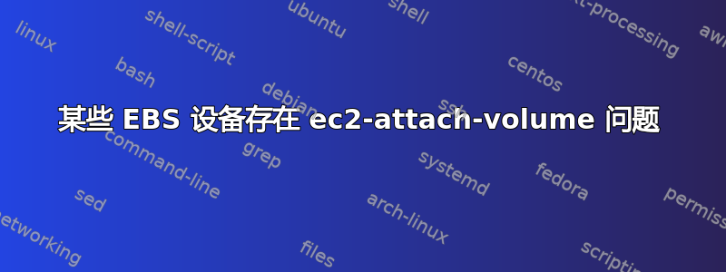 某些 EBS 设备存在 ec2-attach-volume 问题