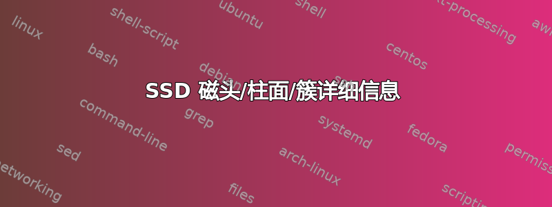 SSD 磁头/柱面/簇详细信息