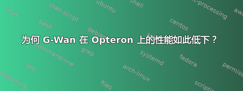 为何 G-Wan 在 Opteron 上的性能如此低下？