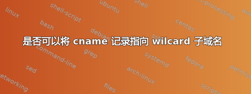 是否可以将 cname 记录指向 wilcard 子域名 