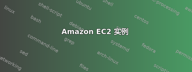 Amazon EC2 实例