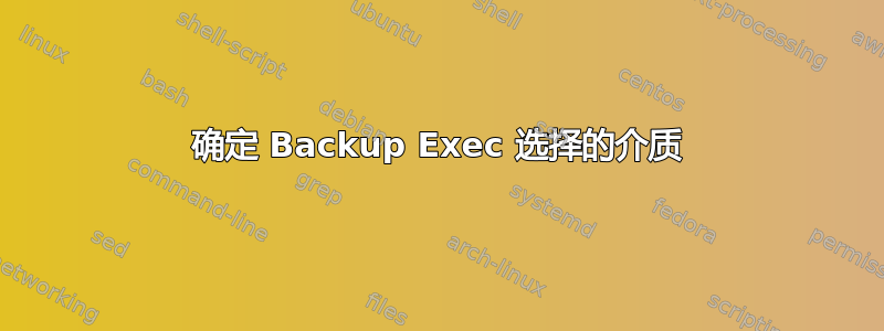 确定 Backup Exec 选择的介质