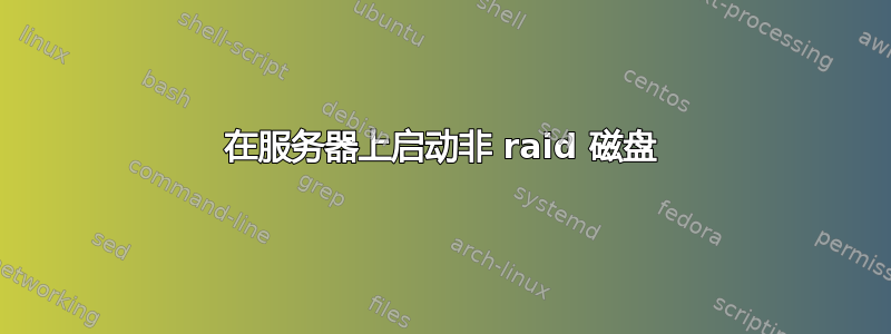 在服务器上启动非 raid 磁盘