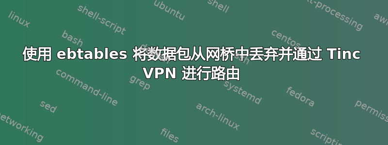 使用 ebtables 将数据包从网桥中丢弃并通过 Tinc VPN 进行路由