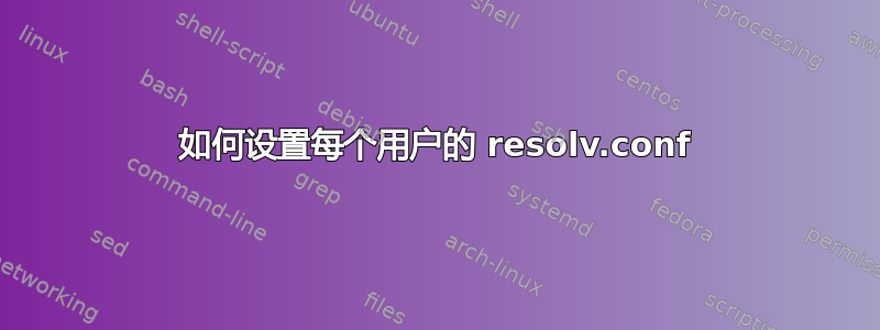 如何设置每个用户的 resolv.conf