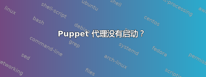 Puppet 代理没有启动？