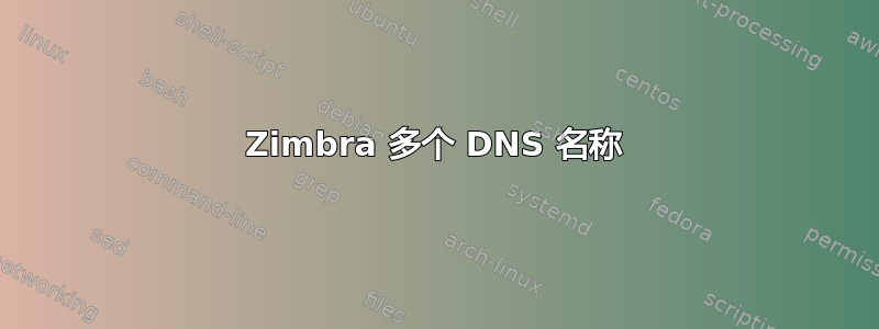 Zimbra 多个 DNS 名称