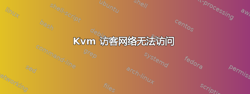 Kvm 访客网络无法访问