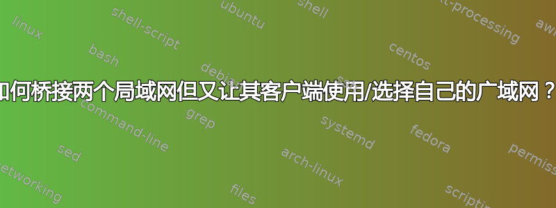 如何桥接两个局域网但又让其客户端使用/选择自己的广域网？