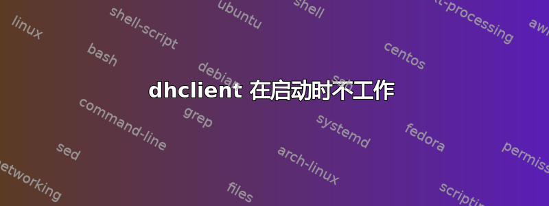 dhclient 在启动时不工作