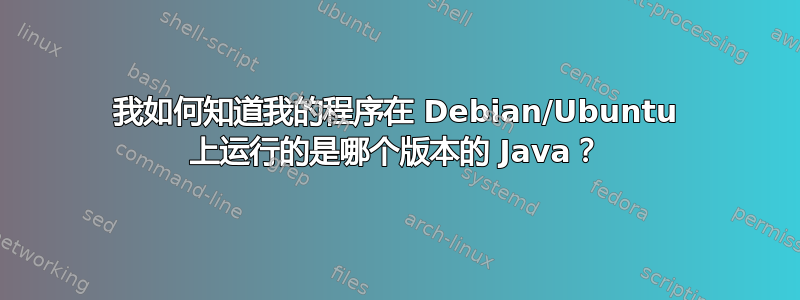 我如何知道我的程序在 Debian/Ubuntu 上运行的是哪个版本的 Java？