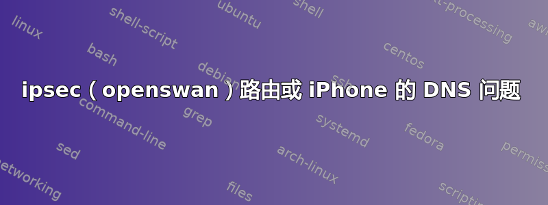 ipsec（openswan）路由或 iPhone 的 DNS 问题