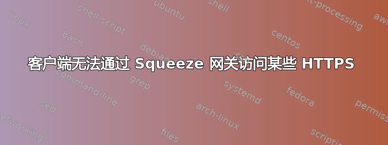 客户端无法通过 Squeeze 网关访问某些 HTTPS