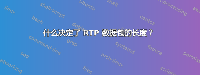 什么决定了 RTP 数据包的长度？