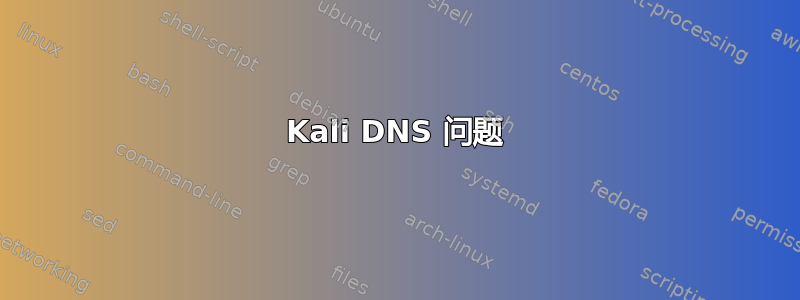 Kali DNS 问题