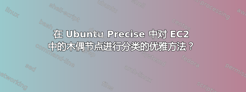 在 Ubuntu Precise 中对 EC2 中的木偶节点进行分类的优雅方法？