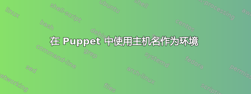 在 Puppet 中使用主机名作为环境