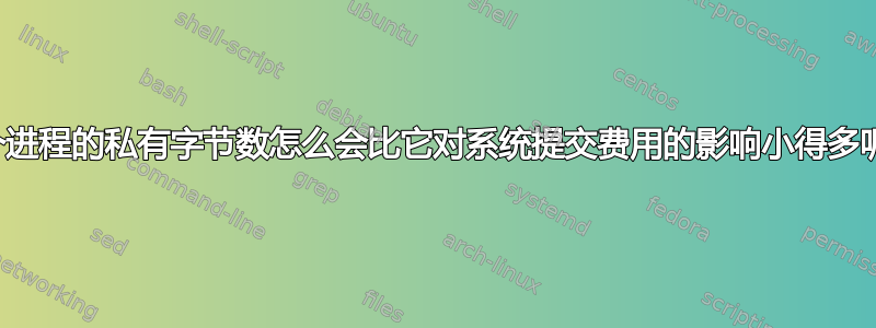 一个进程的私有字节数怎么会比它对系统提交费用的影响小得多呢？