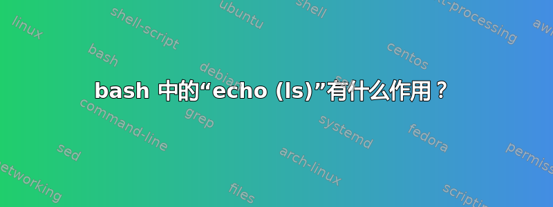 bash 中的“echo (ls)”有什么作用？